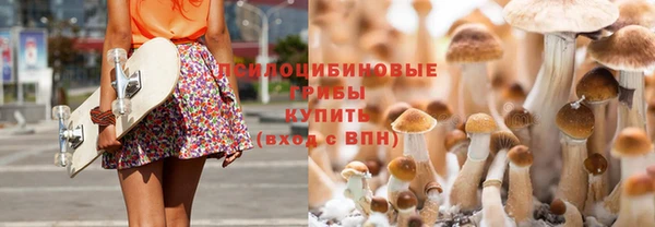 шишки Алексеевка